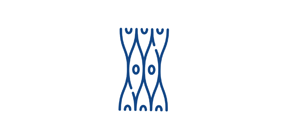 Yorkshire Health Solutions